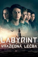Labyrint: Vražedná léčba