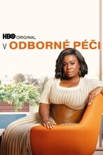 V odborné péči| IV (24)