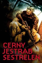 Černý jestřáb sestřelen
