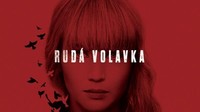 Rudá volavka
