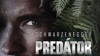 Predátor