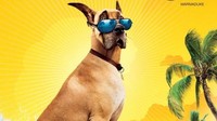Marmaduke