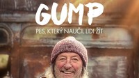 Gump - pes, který naučil lidi žít