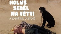 Holub seděl na větvi a rozmýšlel o životě