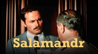 Salamandr
