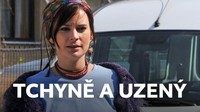 Tchyně a uzený